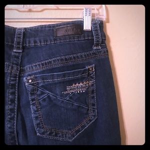 DayTrip Lynx Skinny Jean